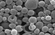 nanoparticles_news_oct12.jpg